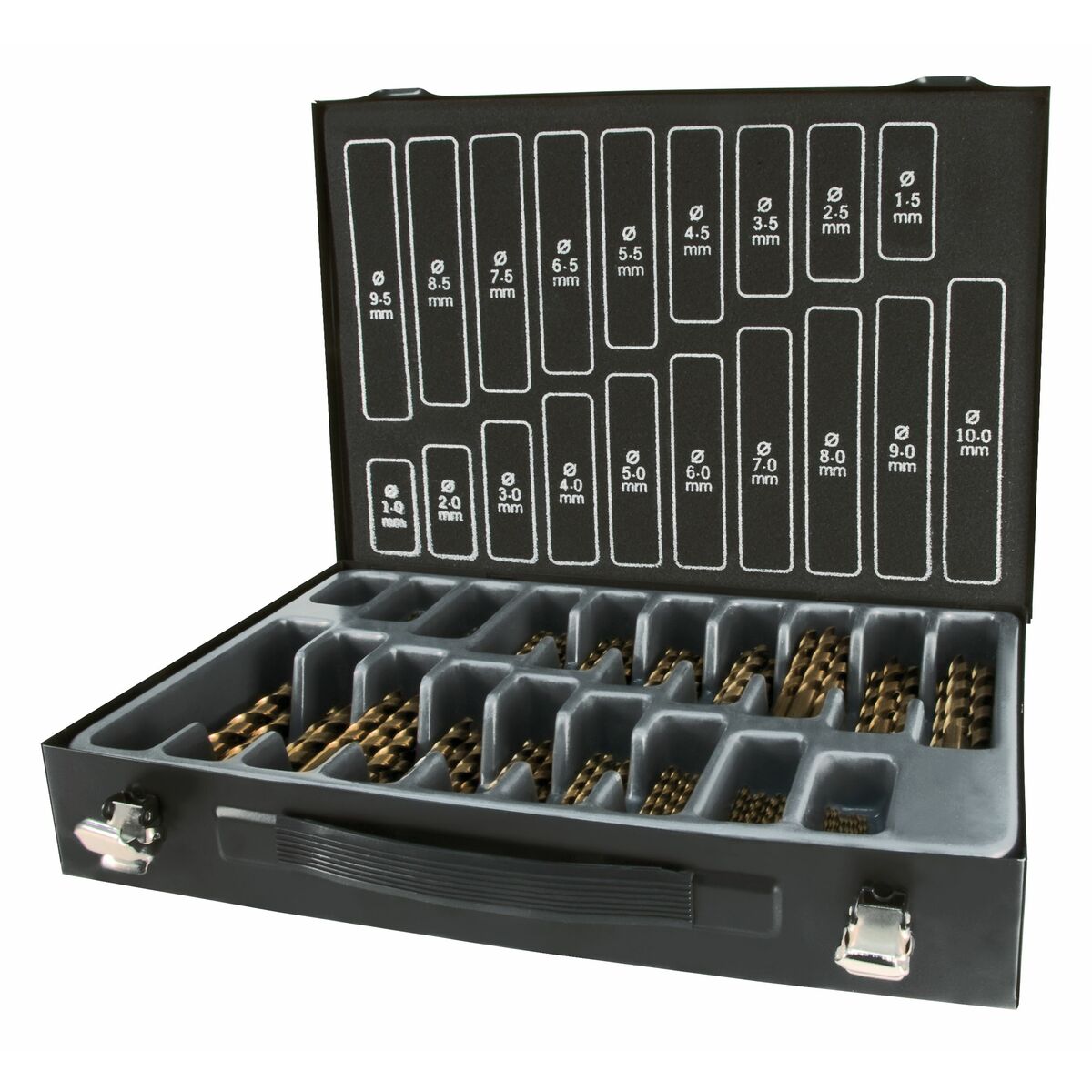Ensemble de forets TERRAX