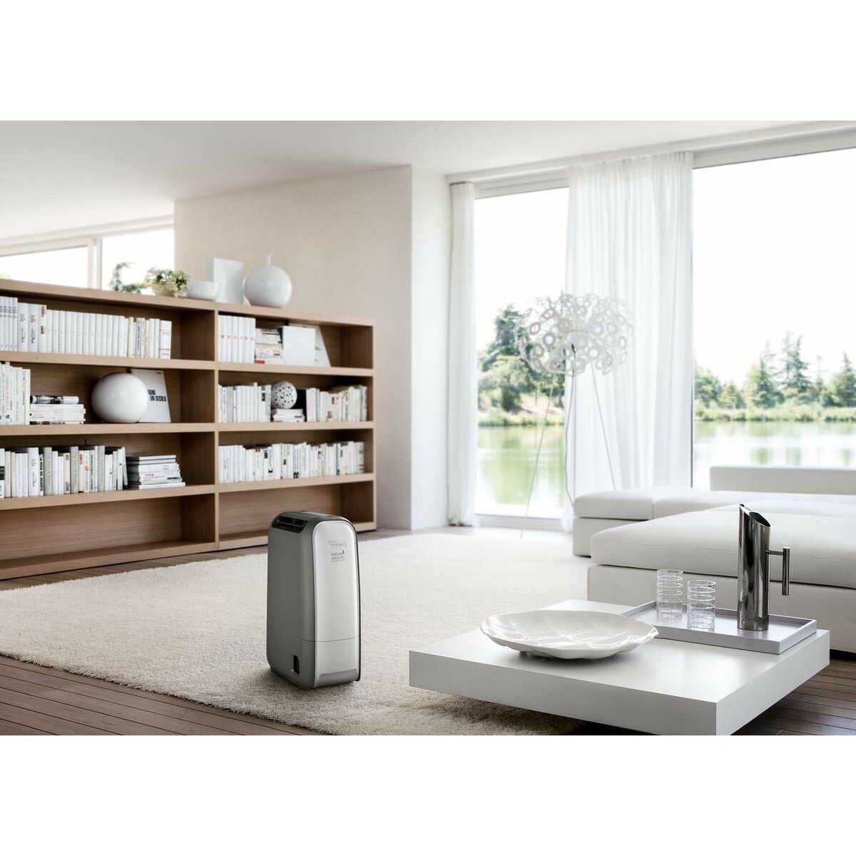 Déshumidificateur DeLonghi DNS 80